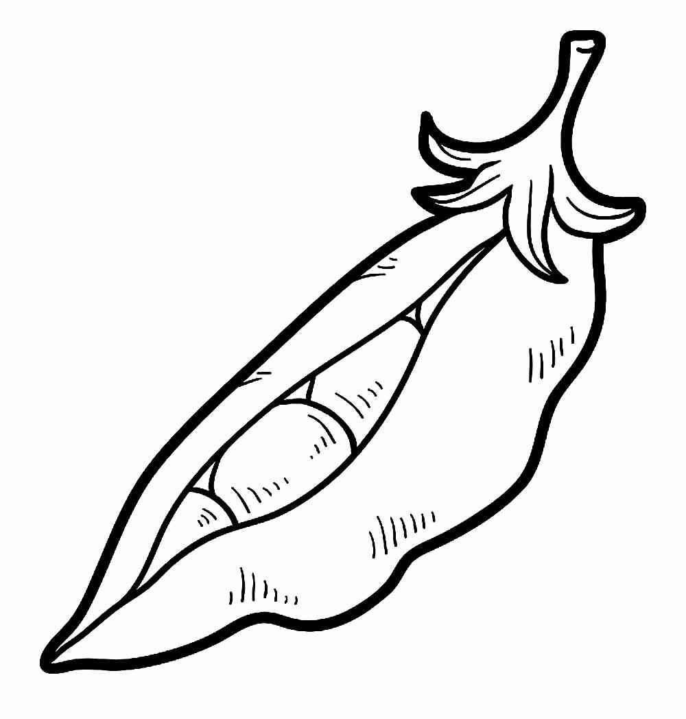 Desenho de Feijão Desenho Colorir Imprimir 17