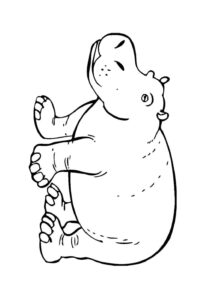 Desenho de Hipopotamo Desenho Colorir Imprimir 25