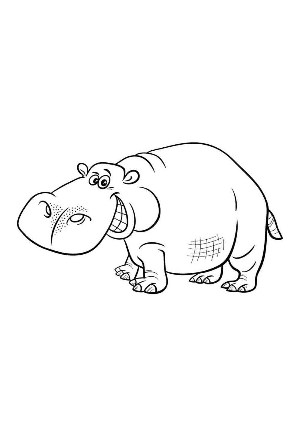Desenho de Hipopotamo Desenho Colorir Imprimir 26