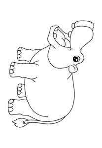 Desenho de Hipopotamo Desenho Colorir Imprimir 33