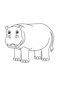 Desenho de Hipopotamo Desenho Colorir Imprimir 56