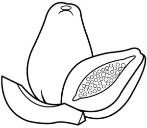 Desenho de Mamão Desenho Colorir Imprimir 15