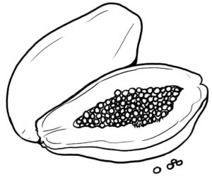 Desenho de Mamão Desenho Colorir Imprimir 16