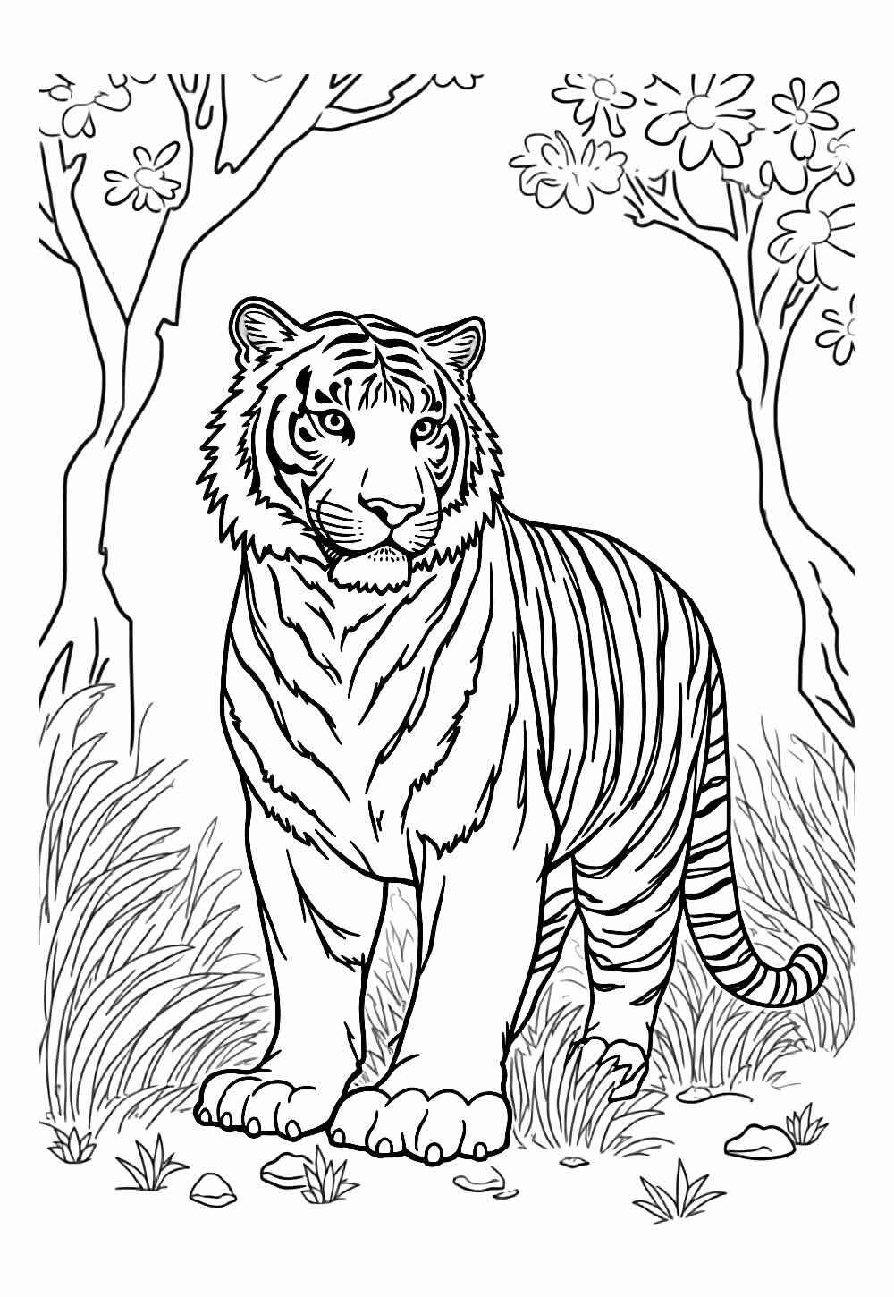 Desenho de Tigre Desenho Colorir Imprimir 008