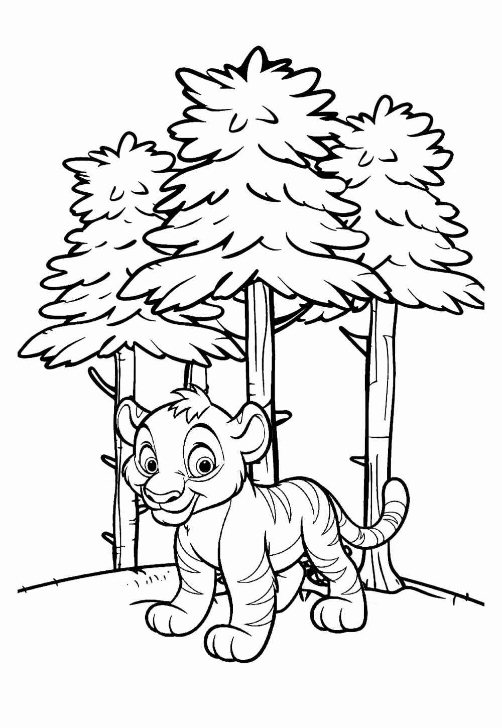 Desenho de Tigre Desenho Colorir Imprimir 011