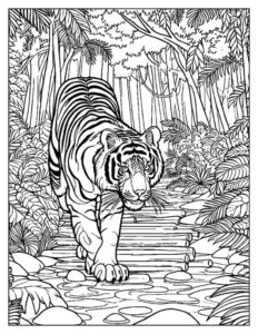 Desenho de Tigre Desenho Colorir Imprimir 016