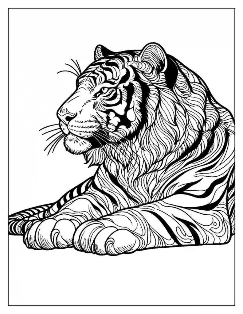 Desenho de Tigre Desenho Colorir Imprimir 019