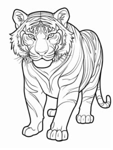 Desenho de Tigre Desenho Colorir Imprimir 023