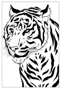 Desenho de Tigre Desenho Colorir Imprimir 035