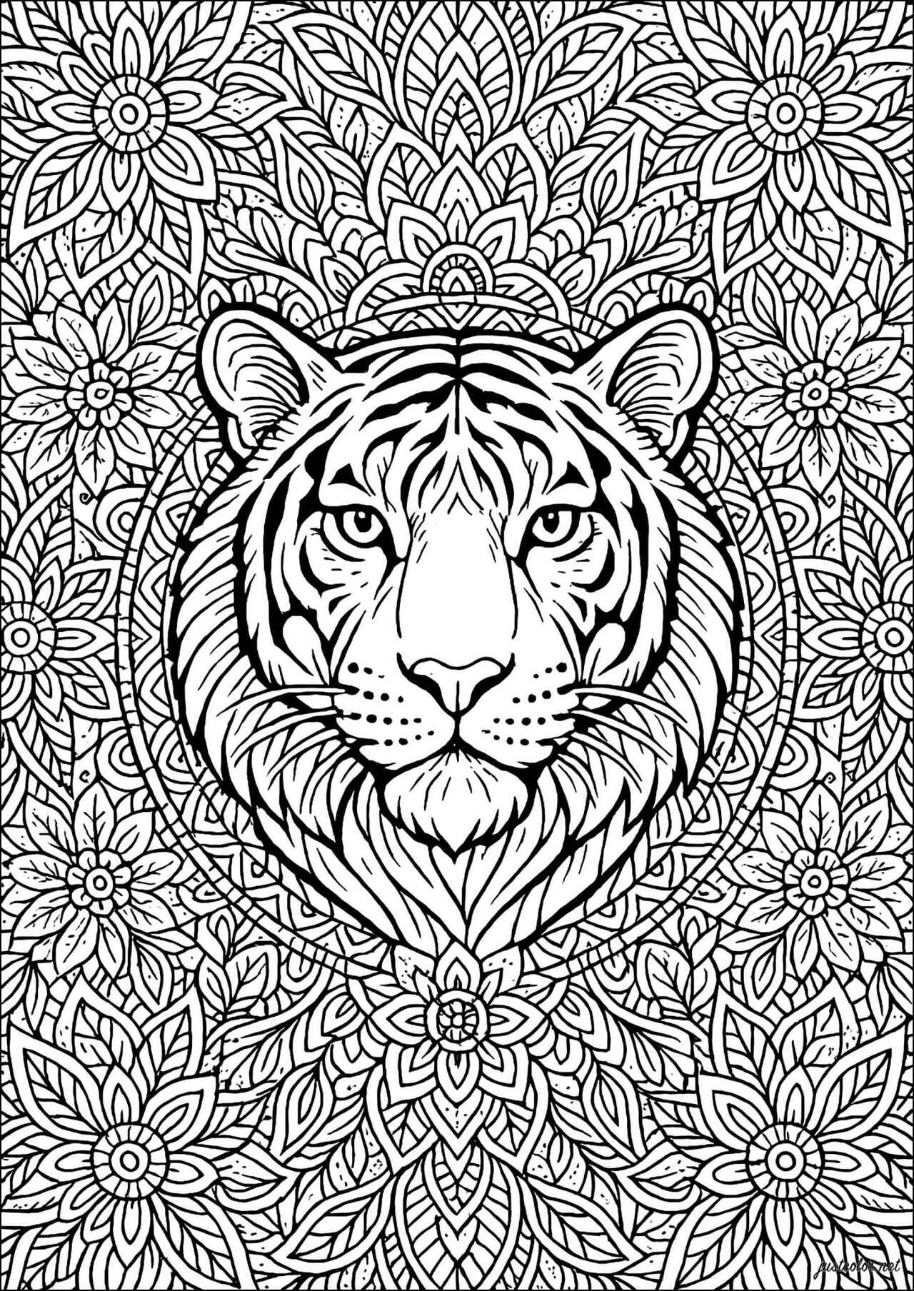 Desenho de Tigre Desenho Colorir Imprimir 040