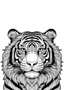 Desenho de Tigre Desenho Colorir Imprimir 051