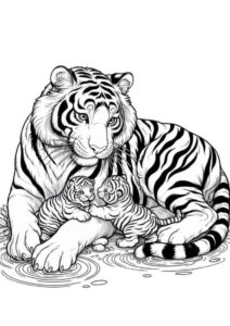 Desenho de Tigre Desenho Colorir Imprimir 052
