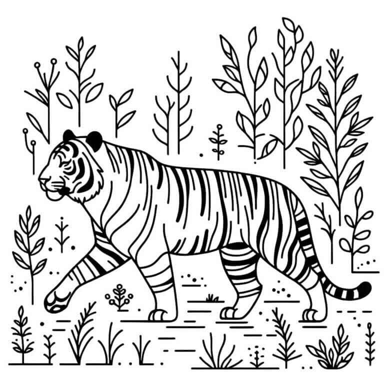 Desenho de Tigre Desenho Colorir Imprimir 053