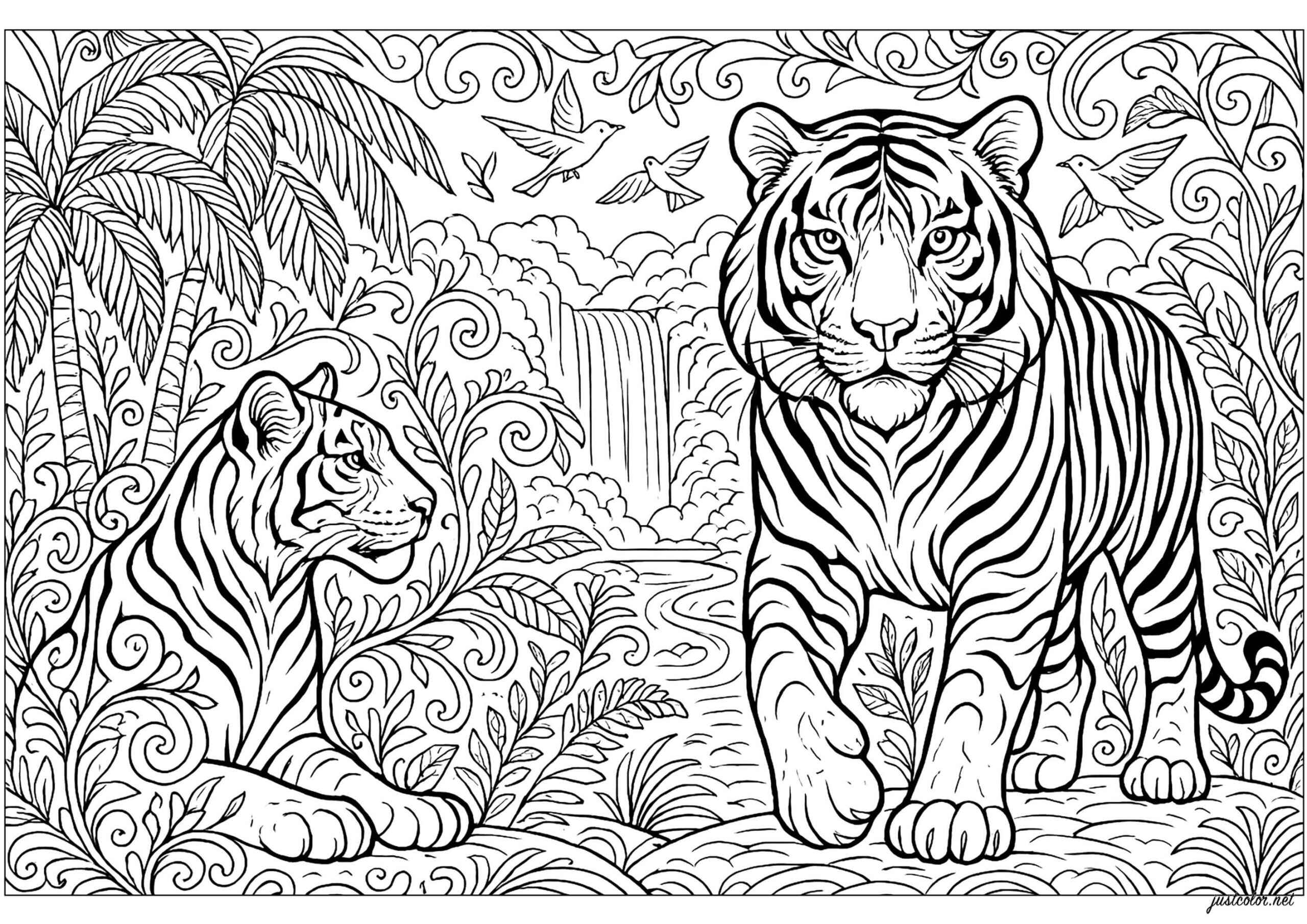 Desenho de Tigre Desenho Colorir Imprimir 083