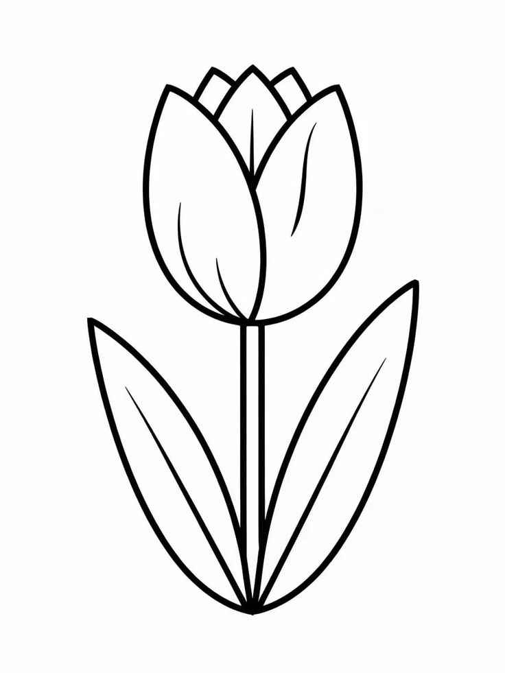 Desenho de Tulipa Desenho Colorir Imprimir 08