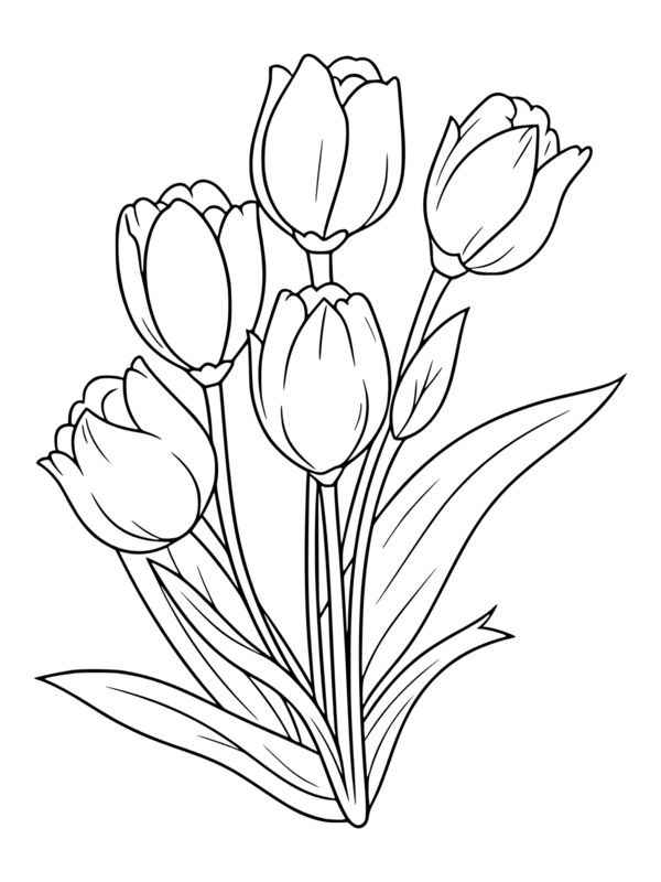Desenho de Tulipa Desenho Colorir Imprimir 09