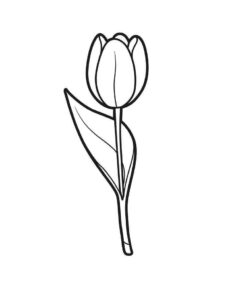 Desenho de Tulipa Desenho Colorir Imprimir 12