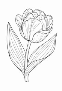 Desenho de Tulipa Desenho Colorir Imprimir 25