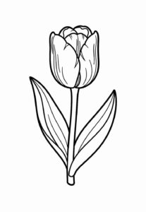 Desenho de Tulipa Desenho Colorir Imprimir 27