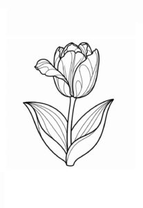 Desenho de Tulipa Desenho Colorir Imprimir 28
