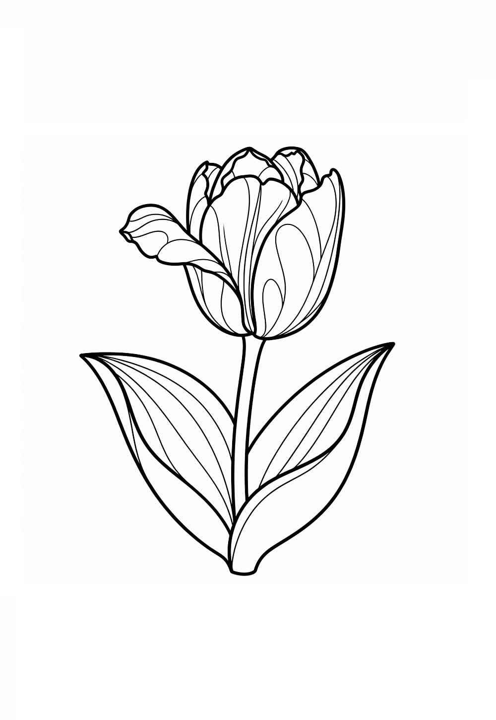 Desenho de Tulipa Desenho Colorir Imprimir 28