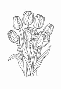 Desenho de Tulipa Desenho Colorir Imprimir 29