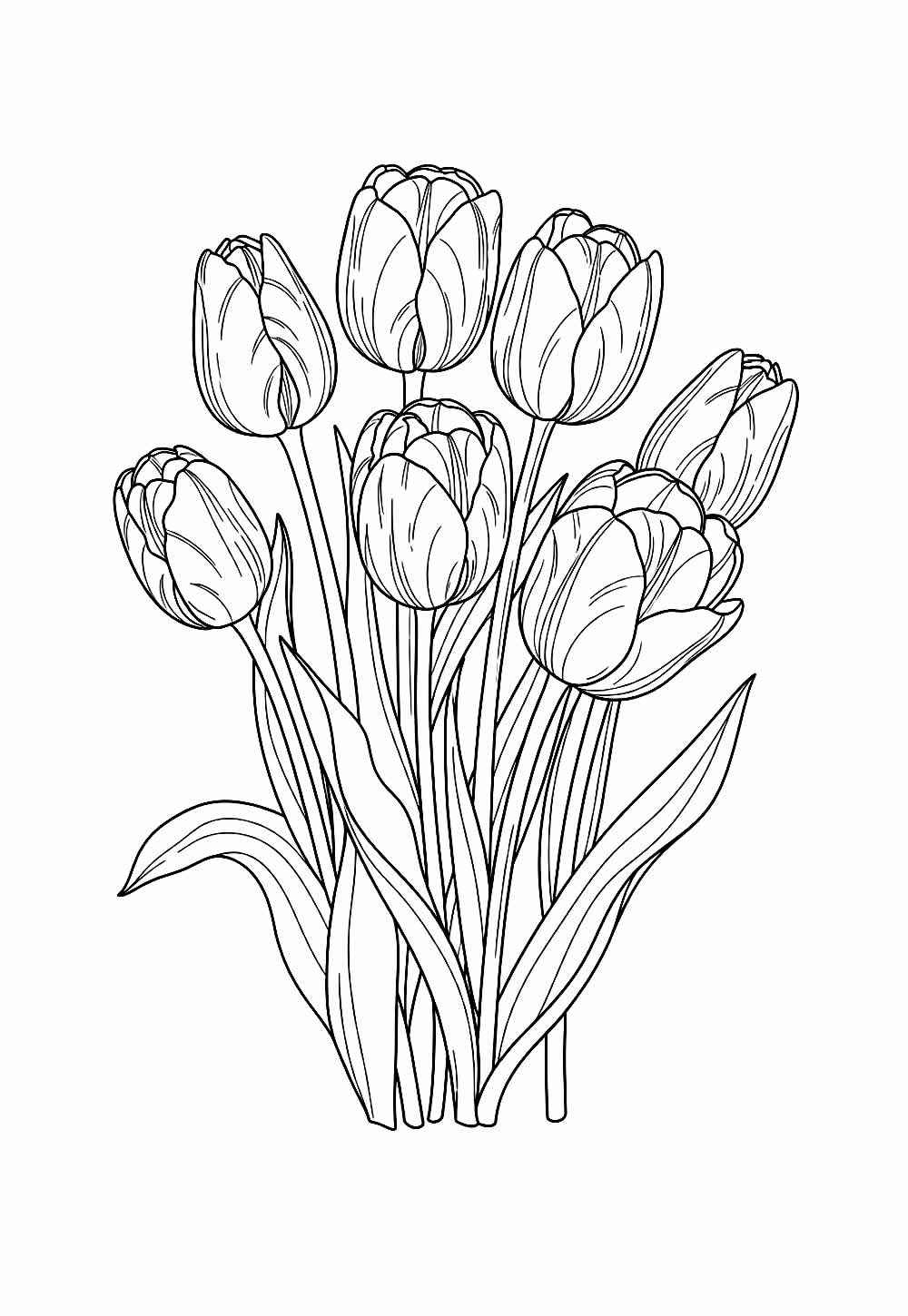 Desenho de Tulipa Desenho Colorir Imprimir 29