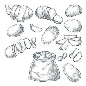 Desenho de Batata Desenho Colorir Imprimir 12