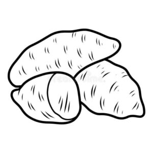Desenho de Batata Desenho Colorir Imprimir 16