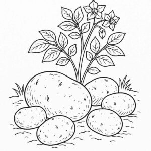 Desenho de Batata Desenho Colorir Imprimir 18