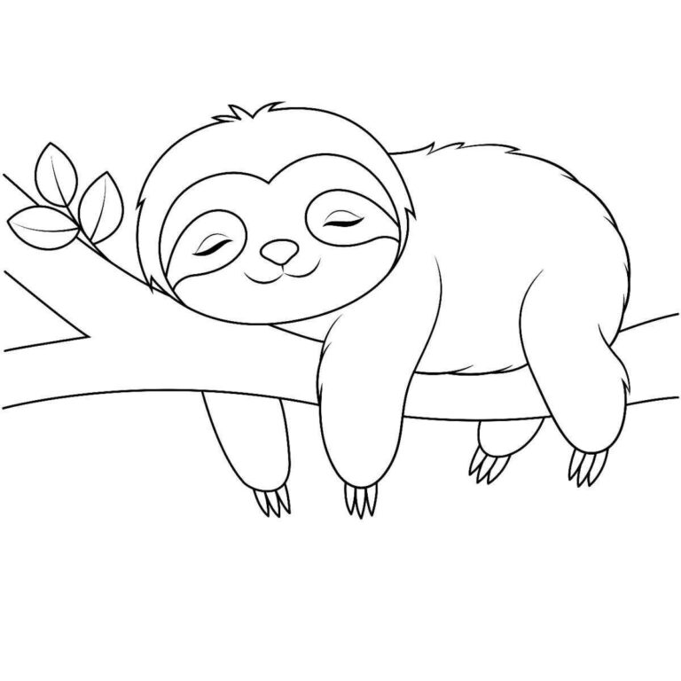 Desenhos do Bicho-Preguiça para Imprimir e Colorir