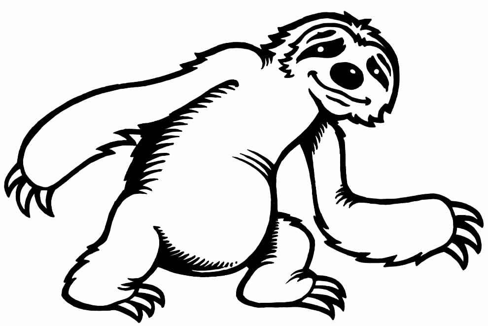 Desenho de Bicho Preguica Desenho Colorir Imprimir 22