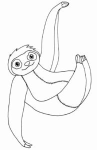 Desenho de Bicho Preguica Desenho Colorir Imprimir 23