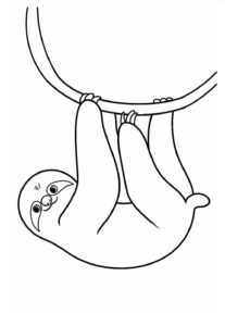 Desenho de Bicho Preguica Desenho Colorir Imprimir 24