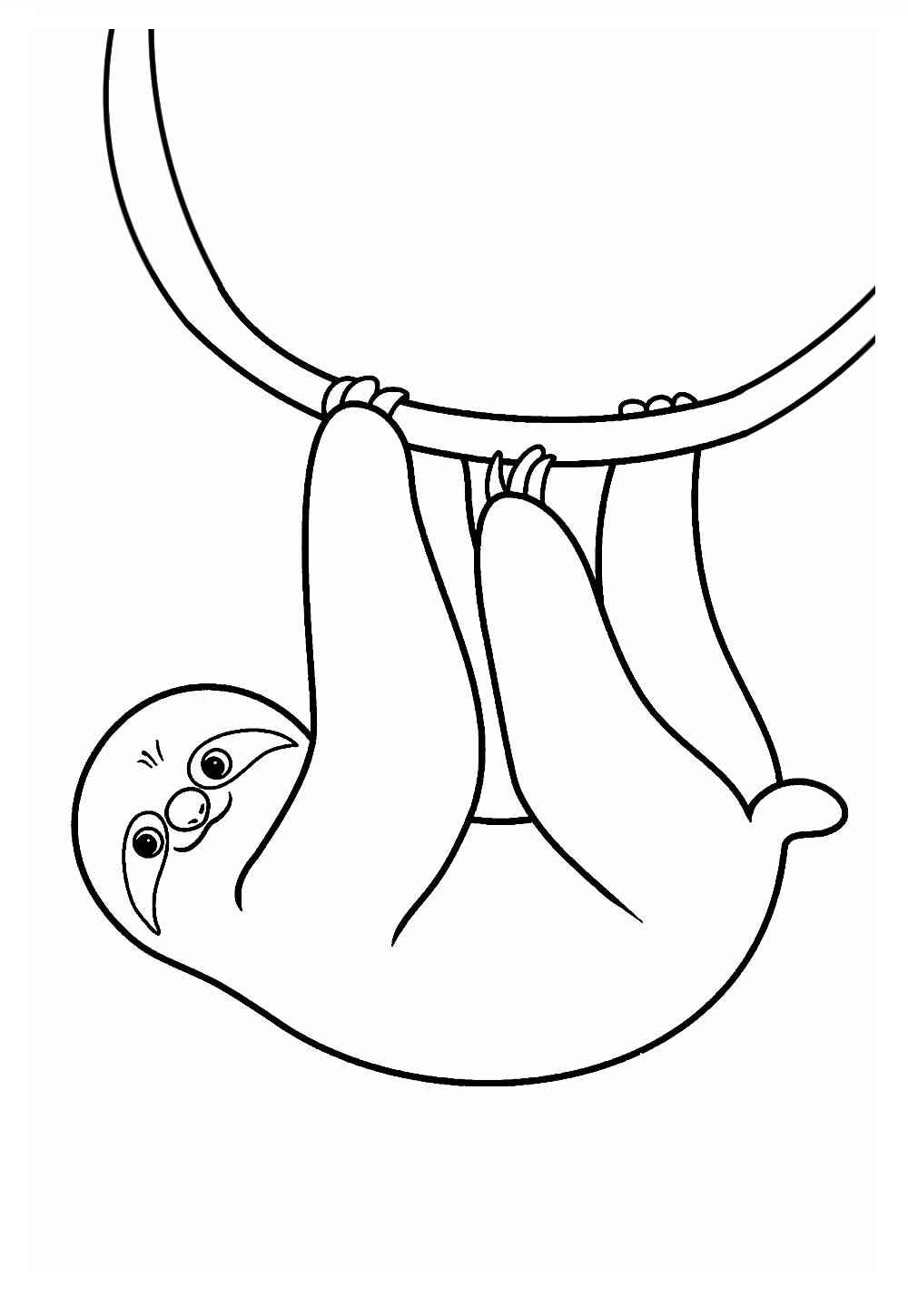 Desenho de Bicho Preguica Desenho Colorir Imprimir 24