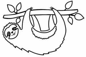 Desenho de Bicho Preguica Desenho Colorir Imprimir 25