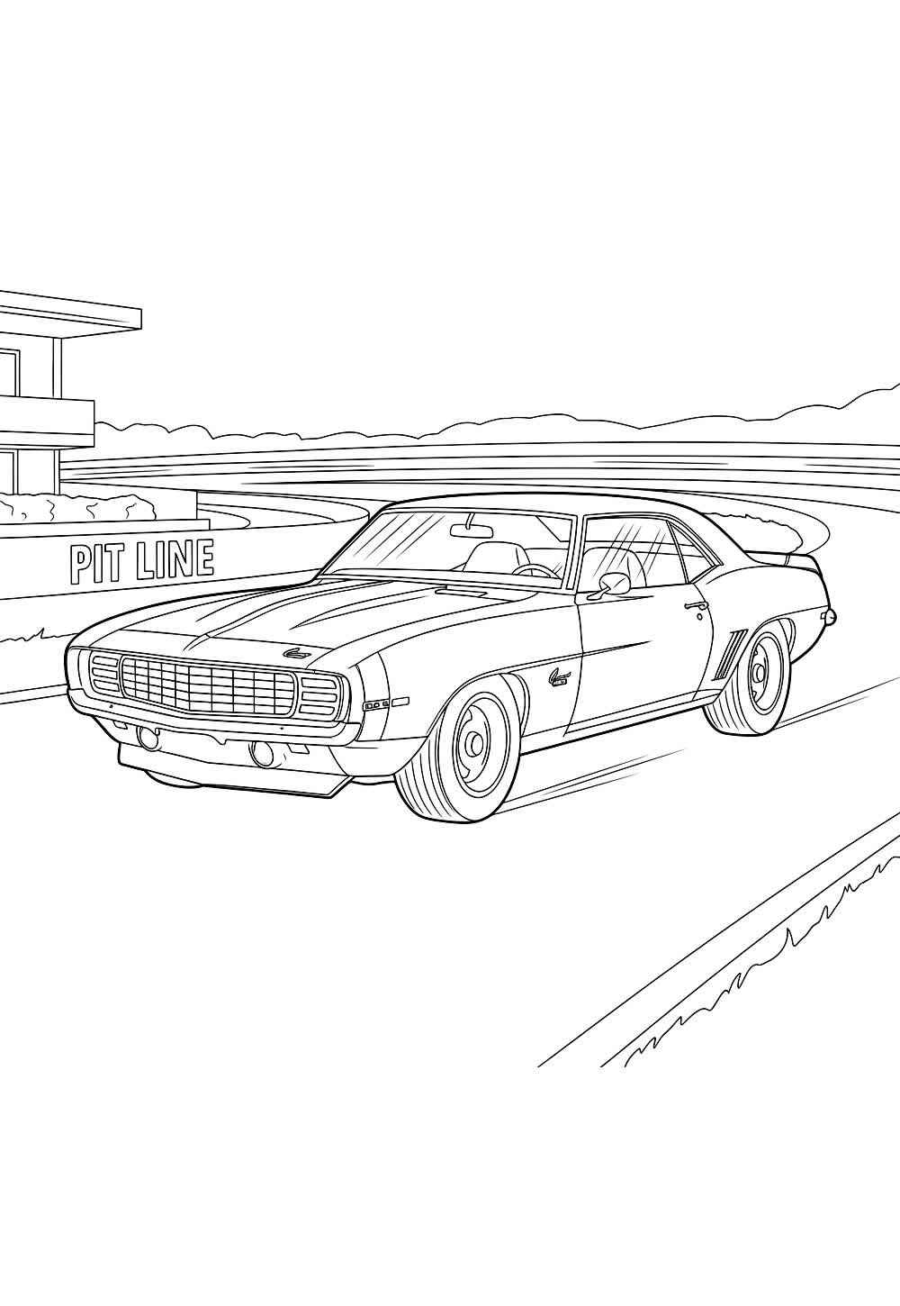 Desenho de Camaro Desenho Colorir Imprimir 15