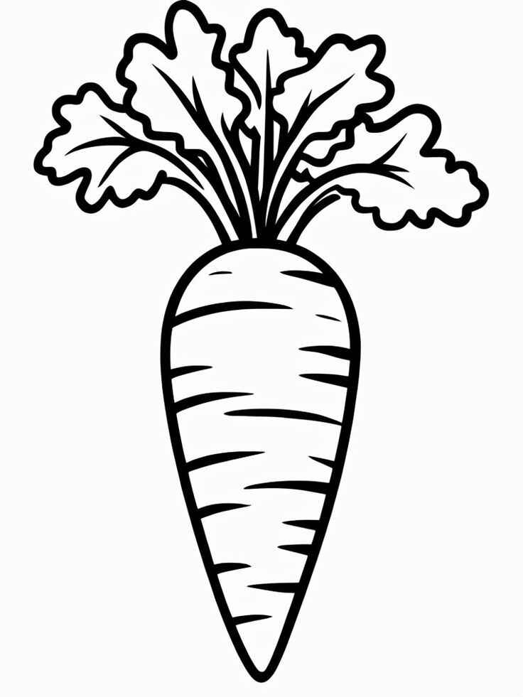 Desenho de Cenoura Desenho Colorir Imprimir 06
