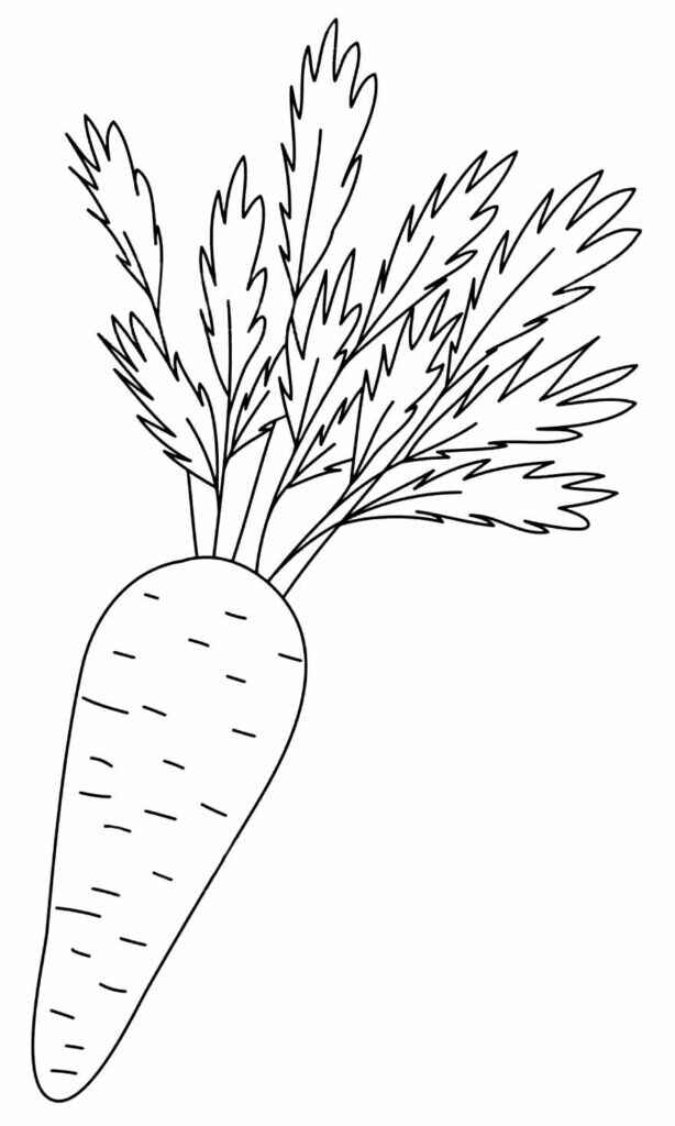 Desenho de Cenoura Desenho Colorir Imprimir 12