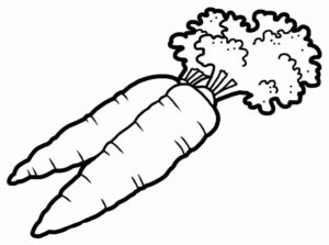 Desenho de Cenoura Desenho Colorir Imprimir 16