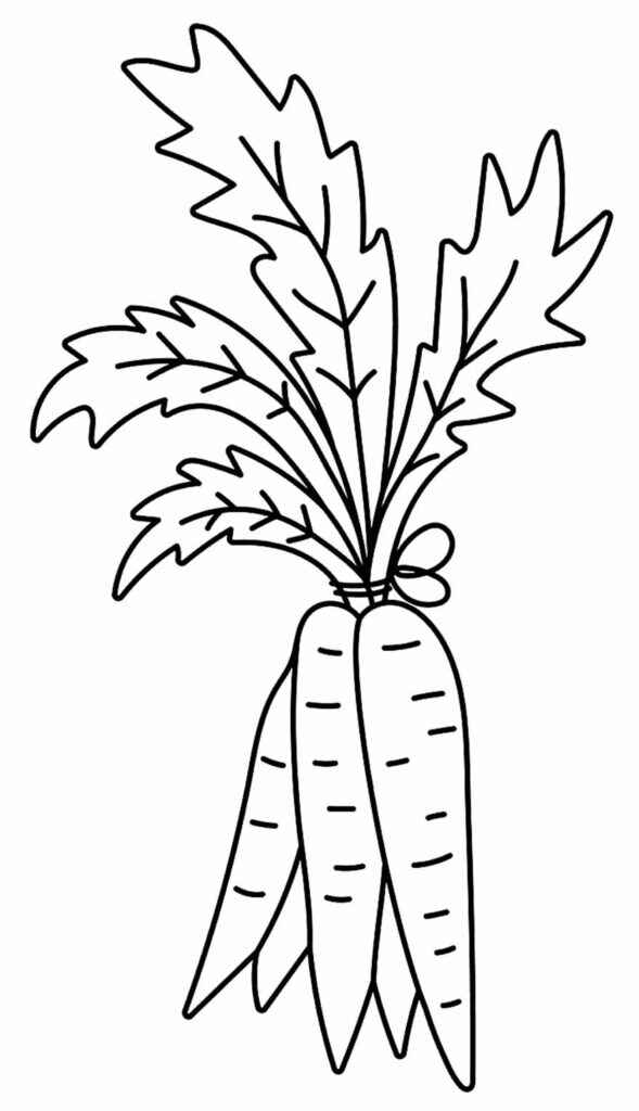 Desenho de Cenoura Desenho Colorir Imprimir 18
