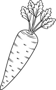 Desenho de Cenoura Desenho Colorir Imprimir 21