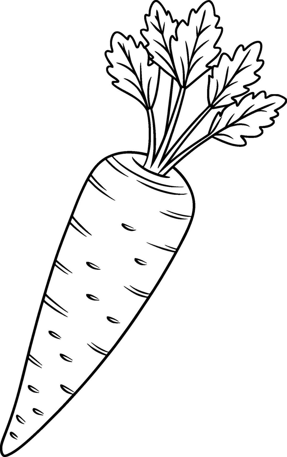 Desenho de Cenoura Desenho Colorir Imprimir 21