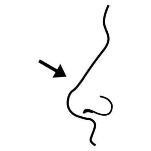 Desenho de Nariz Desenho Colorir Imprimir 04