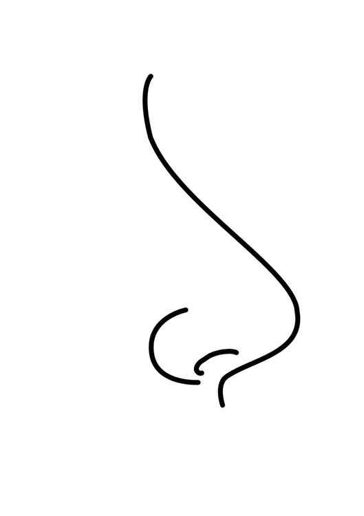 Desenho de Nariz Desenho Colorir Imprimir 05