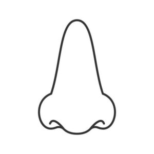 Desenho de Nariz Desenho Colorir Imprimir 07