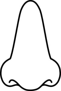 Desenho de Nariz Desenho Colorir Imprimir 08