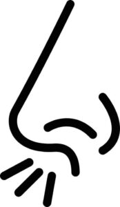 Desenho de Nariz Desenho Colorir Imprimir 09