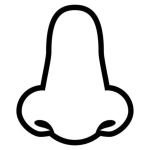 Desenho de Nariz Desenho Colorir Imprimir 10