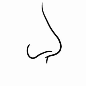 Desenho de Nariz Desenho Colorir Imprimir 11